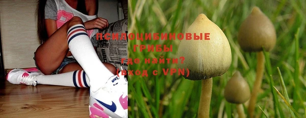 a pvp Богородицк