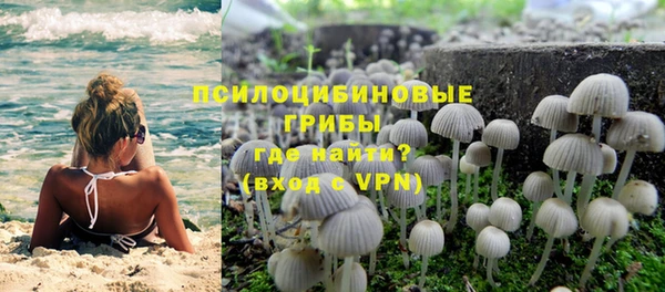 a pvp Богородицк